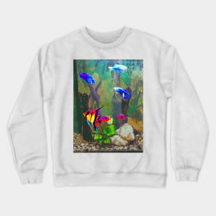 Aquarium Crewneck Sweatshirt